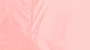 Aesthetic Computer Light Pink Leaves Silhouette Wallpaper