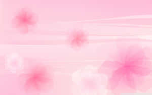 Aesthetic Computer Light Pink Transparent Flowers Wallpaper