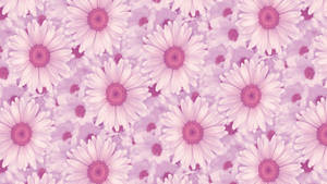 Aesthetic Daisies Laptop Wallpaper