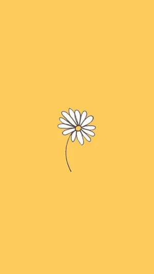 Aesthetic Daisy Cute Doodle Art Wallpaper