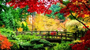 Aesthetic Fall In Nami Island Wallpaper