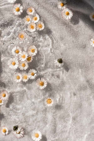 Aesthetic Floral On Sand Wallpaper