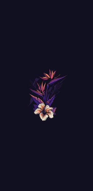 Aesthetic Flower 2k Amoled Wallpaper