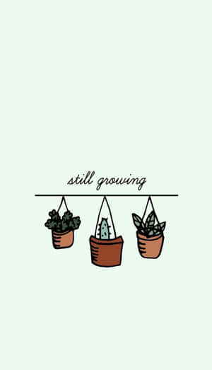 Aesthetic Growing Cute Plant Art Wallpaper