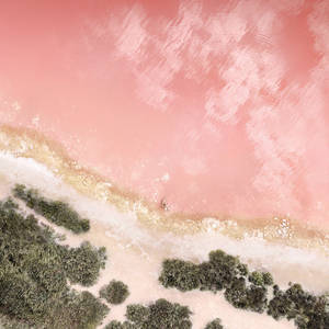 Aesthetic Ipad Coral Beach Wallpaper