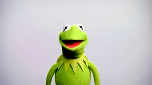 Aesthetic Kermit Feels The Summer Breeze Wallpaper