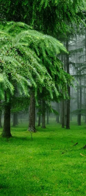 Aesthetic Landscape Of Rocky Mountains Wallpaper