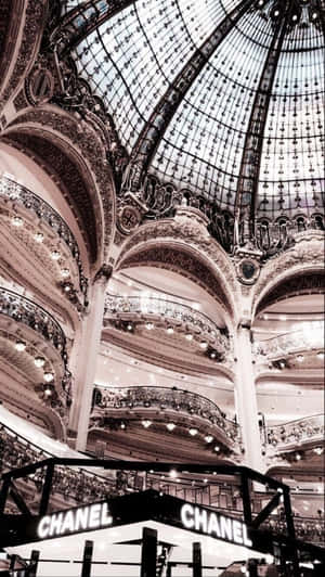 Aesthetic Luxury Design Wallpaper