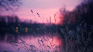 Aesthetic Macbook Purple Sky Wallpaper