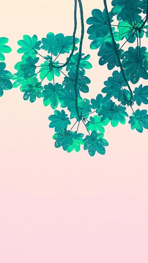 Aesthetic Minimalist Iphone Wallpaper Wallpaper