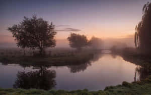 Aesthetic Nature With A Foggy River Wallpaper