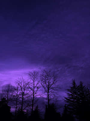 Aesthetic Nature With A Purple Sky Wallpaper