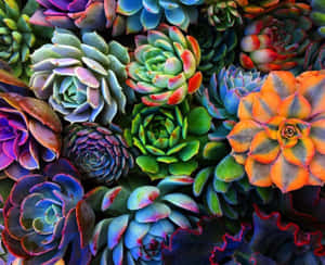 Aesthetic Neon Plants Illuminating The Night Wallpaper