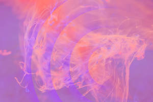 Aesthetic Pink Desktop Smoke Art Wallpaper