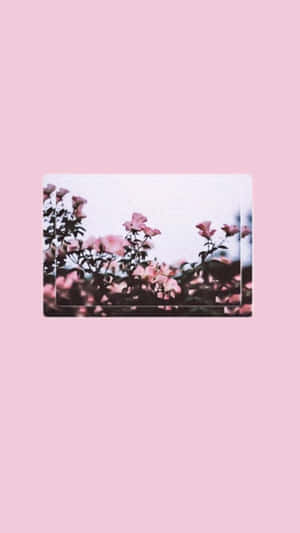 “aesthetic Pink Iphone Homescreen Overlay” Wallpaper