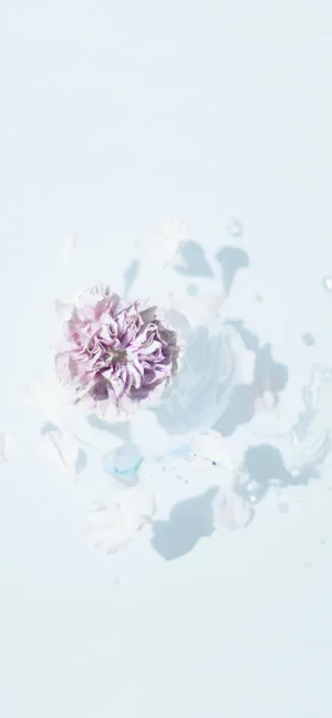 Aesthetic Purple Flower Painting Wallpaper