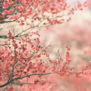 Aesthetic Spring Leaves Ipad Wallpaper