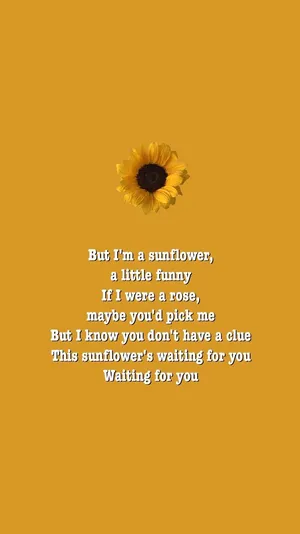 Aesthetic Sunflower Quotes Wallpaper
