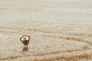 Aesthetic Wheat Field 1080p Hd Desktop Wallpaper