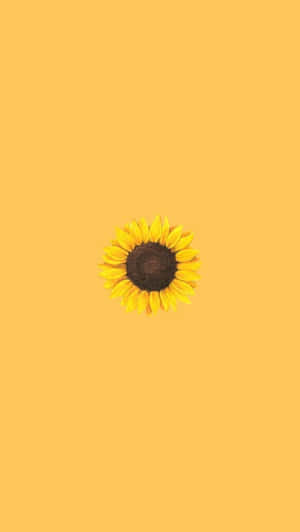 Aesthetic Yellow Iphone Wallpaper