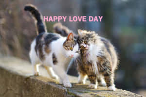 Affectionate Cats Happy Love Day Wallpaper