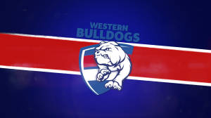 Afl Western Bulldogs Wallpaper