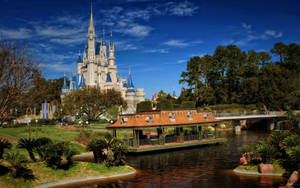 Afternoon At Disney World Wallpaper