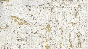 Aged Cork Texture Wallpaper