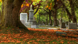 Aged Gravestone In A Serene Cemetery Wallpaper