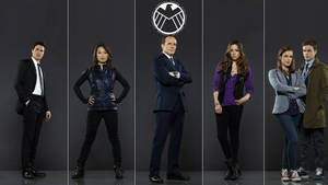 Agents Of Shield Main Charcaters Full Body Portrait Wallpaper