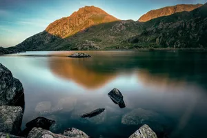 Aiden Explores The Undiscovered Realms Of Nature Wallpaper