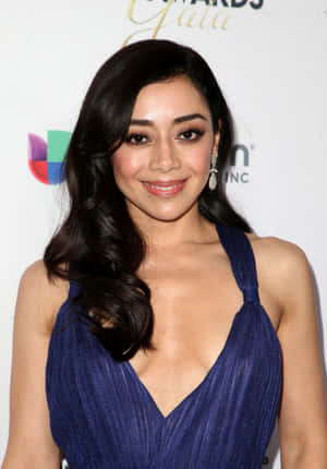 Aimee Garcia Posing Elegantly In A Stylish Outfit Wallpaper