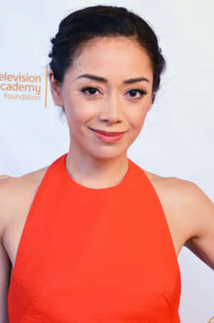 Aimee Garcia Smiling Radiantly Wallpaper