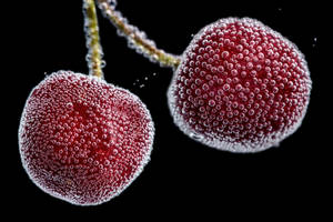 Air Bubbles On Cherries Wallpaper