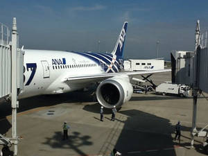 Airport Workers With Ana Plane Wallpaper