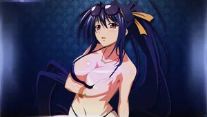 Akeno In Her Bikini, Ready To Take On The Summer Wallpaper