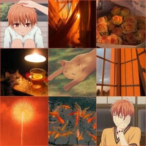 Akito Sohma Collage Fruits Basket Wallpaper