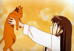 Akito Sohma Holding Cat Fruits Basket Wallpaper