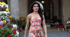 Akkineni Samantha Hd Pink Sundress Wallpaper