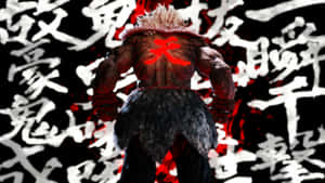 Akuma Street Fighter Power Stance Wallpaper