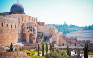 Al Aqsa Mosque Jerusalem Sunlight Wallpaper