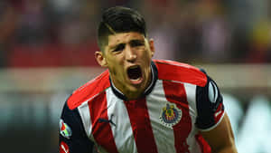 Alan Pulido Chivas Guadalajara Wallpaper