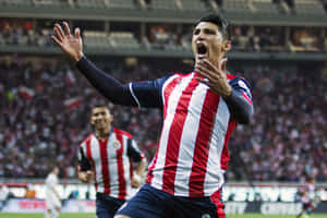 Alan Pulido Screaming Celebration Wallpaper