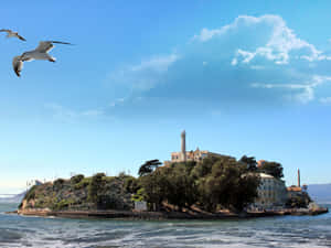 Alcatraz Island San Francisco Bay Wallpaper