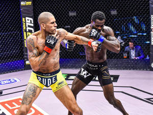 Alex Pereira Punches His Foe Wallpaper