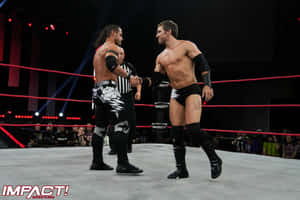 Alex Shelley Shaking Hands With Chris Sabin Wallpaper