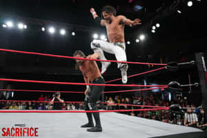 Alex Shelley Versus Seth Collins On Sacrifice Event Wallpaper