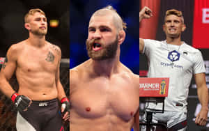 Alexander Gustafsson Jiri Prochazka Stephen Thompson Wallpaper