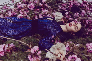 Alexandra Daddario Lying On Moss Wallpaper