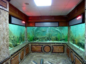 Alexandria Aquarium Egypt Wallpaper